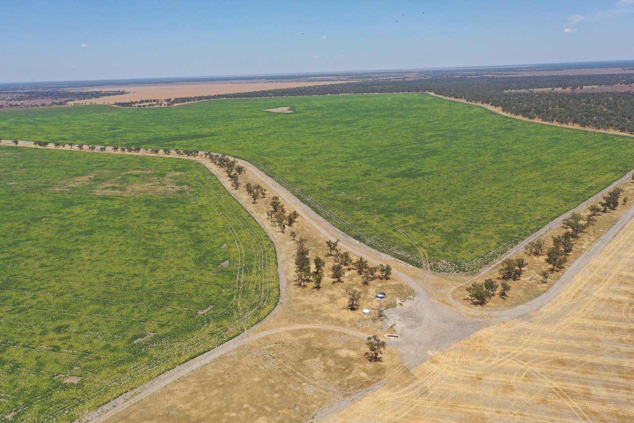 3495 Jakelwar Goodooga Road, Dirranbandi Expressions of Interest by Farmbuy.com - image 36