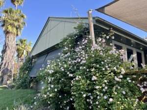 3495 Jakelwar Goodooga Road, Dirranbandi Expressions of Interest by Farmbuy.com - image 6