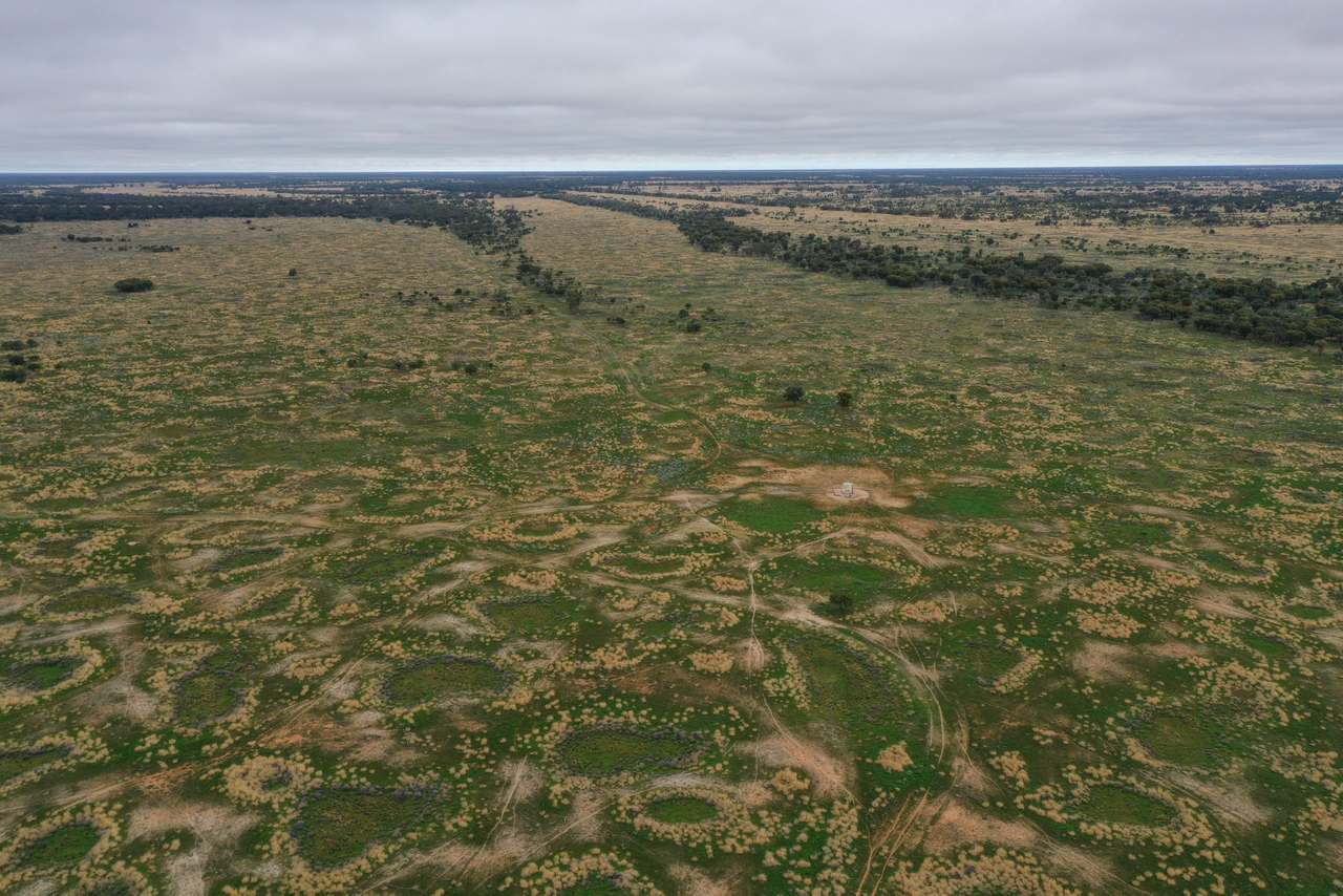 3495 Jakelwar Goodooga Road, Dirranbandi Expressions of Interest by Farmbuy.com - image 19