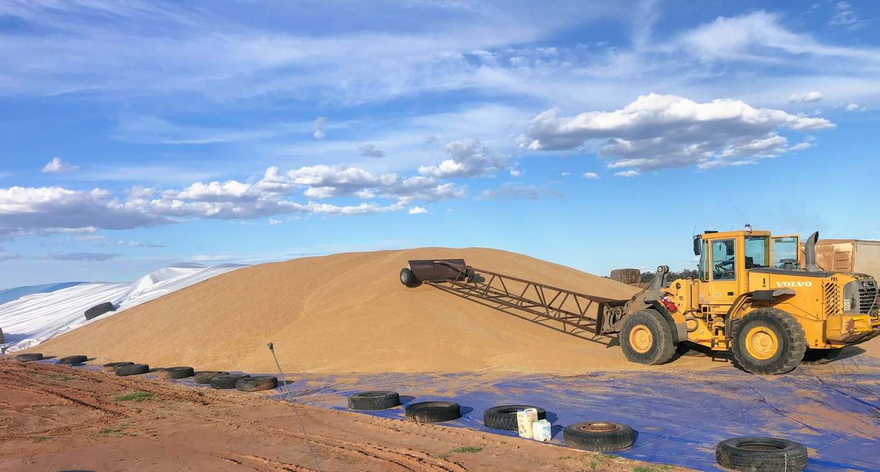 3495 Jakelwar Goodooga Road, Dirranbandi Expressions of Interest by Farmbuy.com - image 46