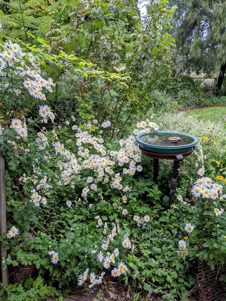 3495 Jakelwar Goodooga Road, Dirranbandi Expressions of Interest by Farmbuy.com - image 11