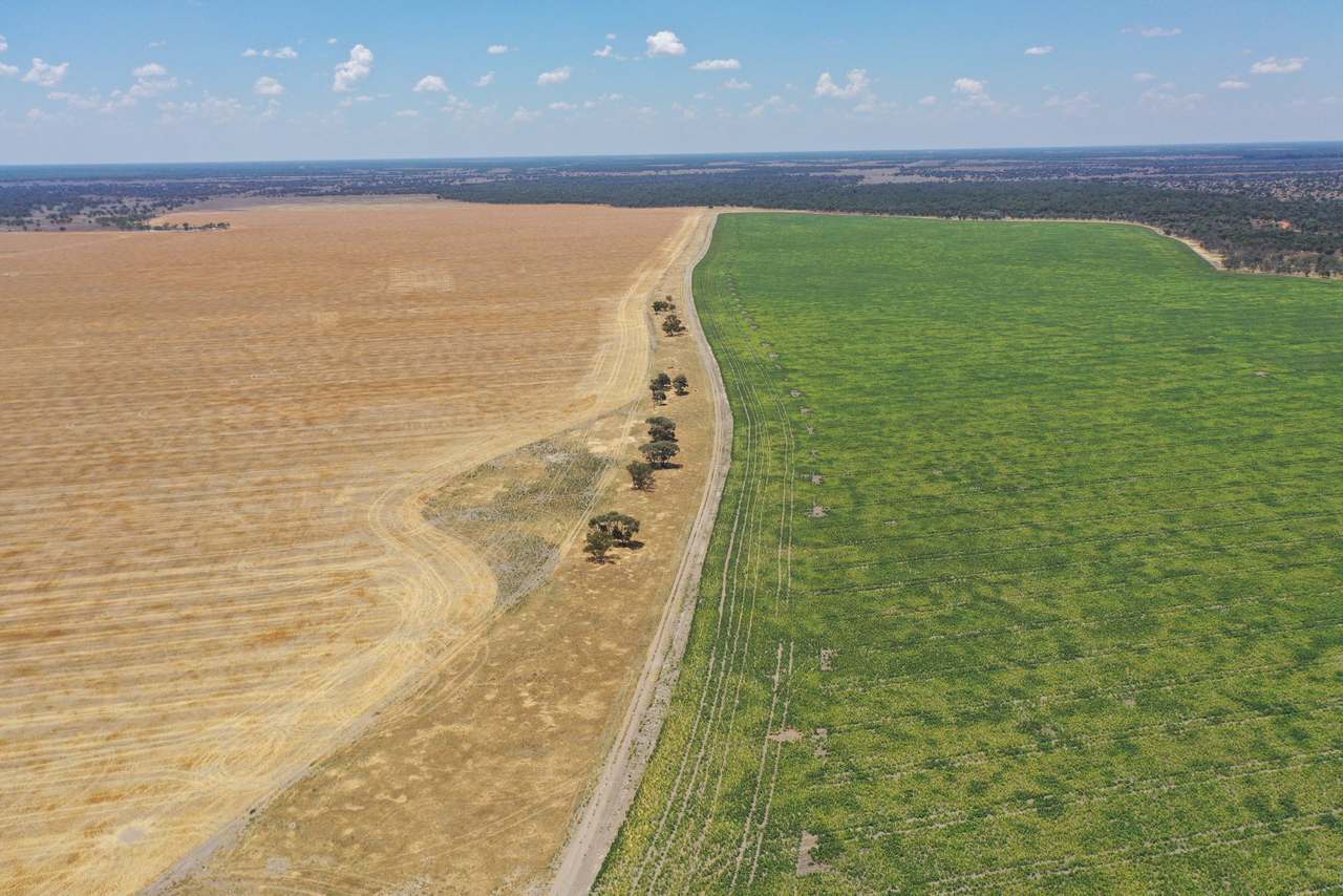 3495 Jakelwar Goodooga Road, Dirranbandi Expressions of Interest by Farmbuy.com - image 37