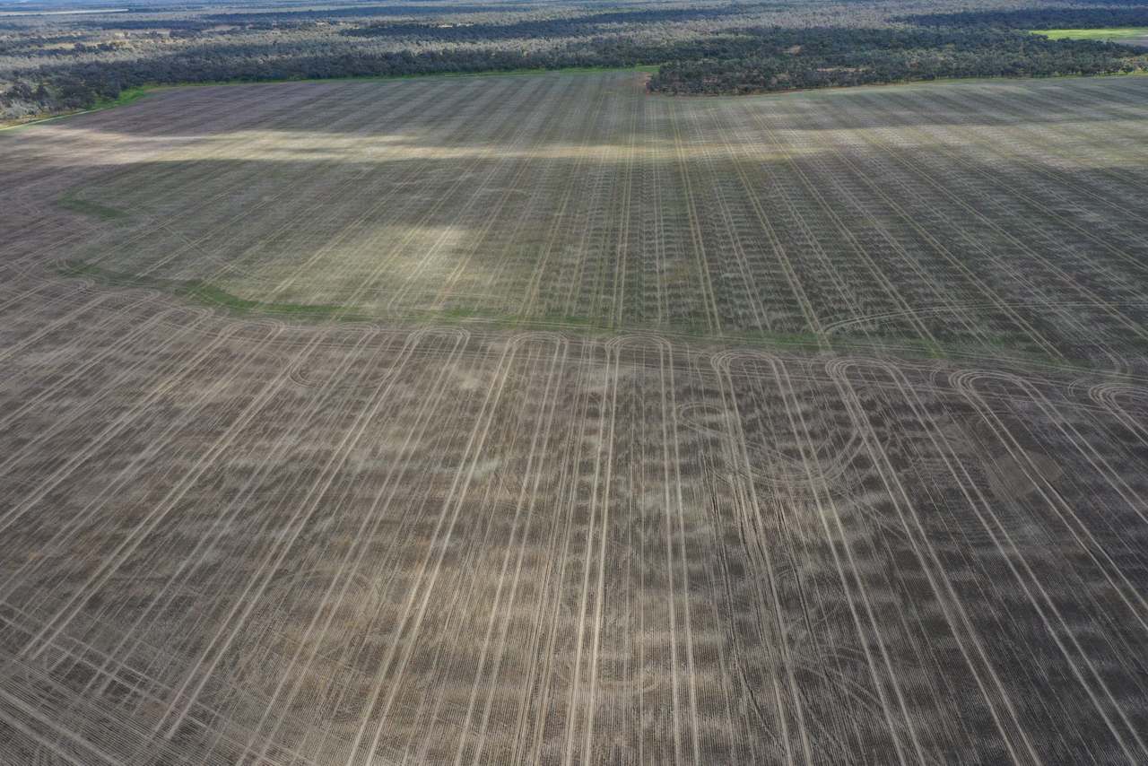 3495 Jakelwar Goodooga Road, Dirranbandi Expressions of Interest by Farmbuy.com - image 28