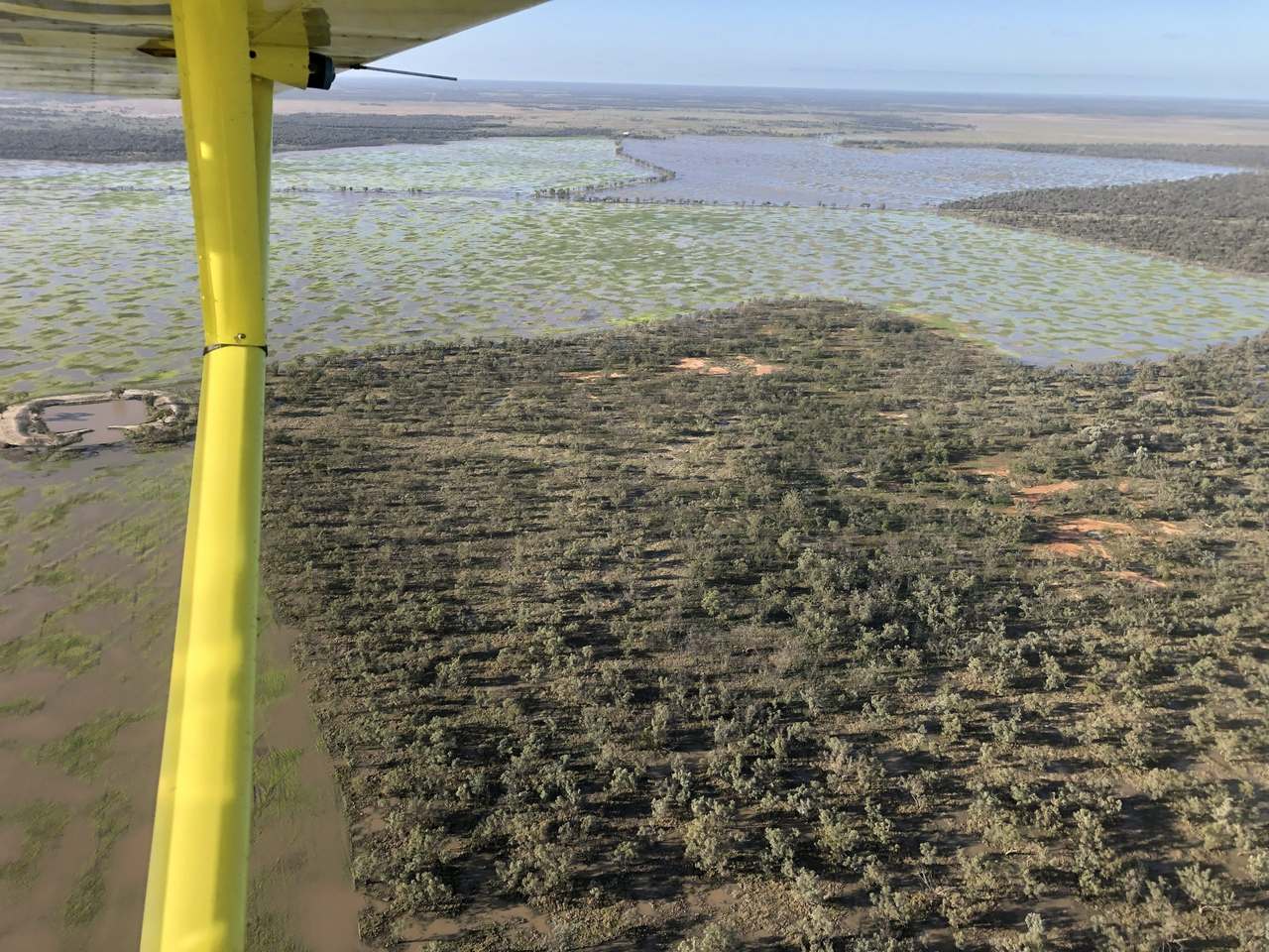 3495 Jakelwar Goodooga Road, Dirranbandi Expressions of Interest by Farmbuy.com - image 43