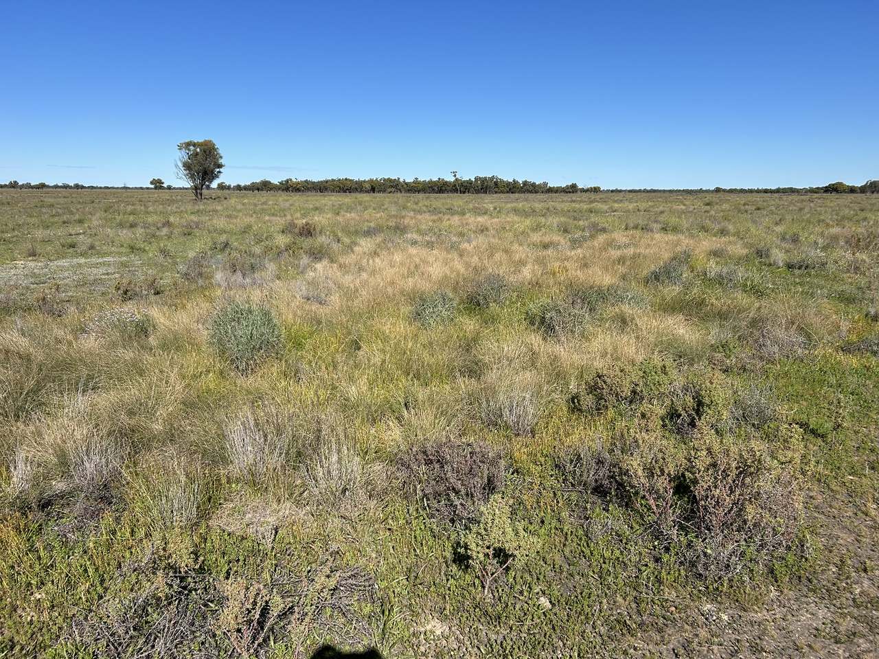 3495 Jakelwar Goodooga Road, Dirranbandi Expressions of Interest by Farmbuy.com - image 13