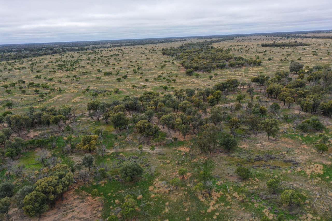 3495 Jakelwar Goodooga Road, Dirranbandi Expressions of Interest by Farmbuy.com - image 20