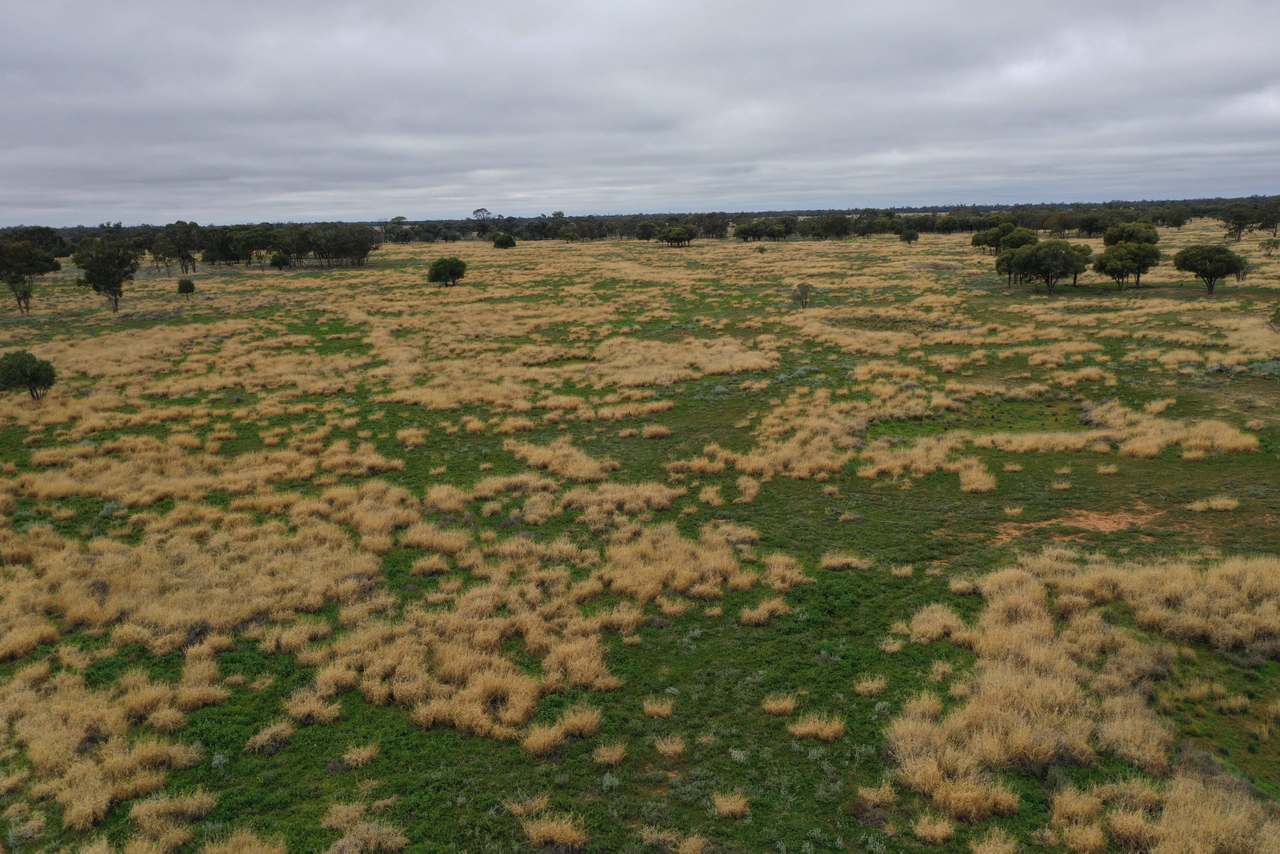 3495 Jakelwar Goodooga Road, Dirranbandi Expressions of Interest by Farmbuy.com - image 17