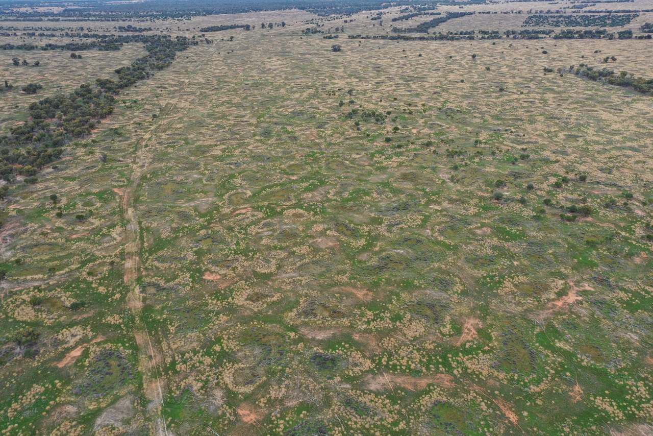 3495 Jakelwar Goodooga Road, Dirranbandi Expressions of Interest by Farmbuy.com - image 21