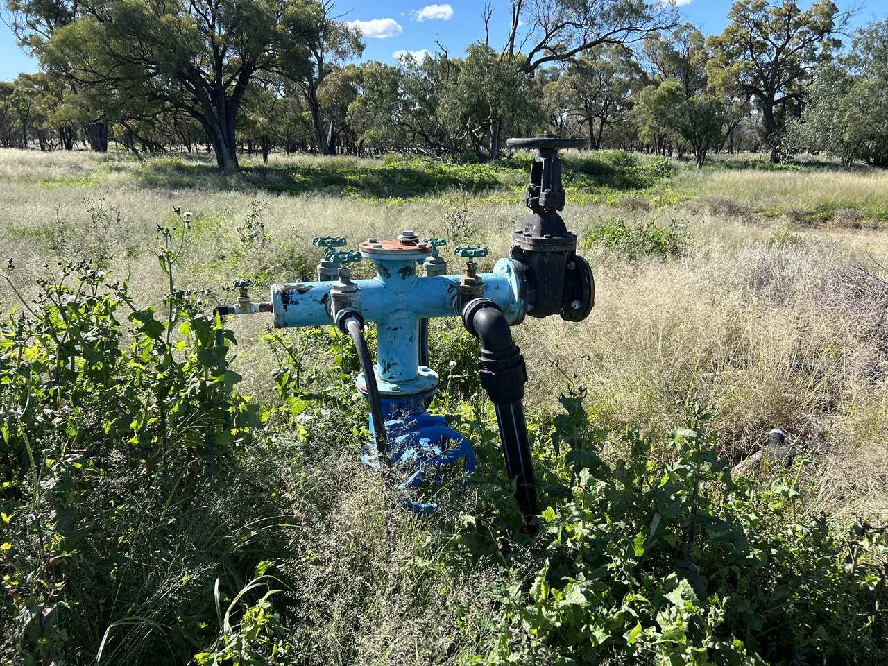 3495 Jakelwar Goodooga Road, Dirranbandi Expressions of Interest by Farmbuy.com - image 30