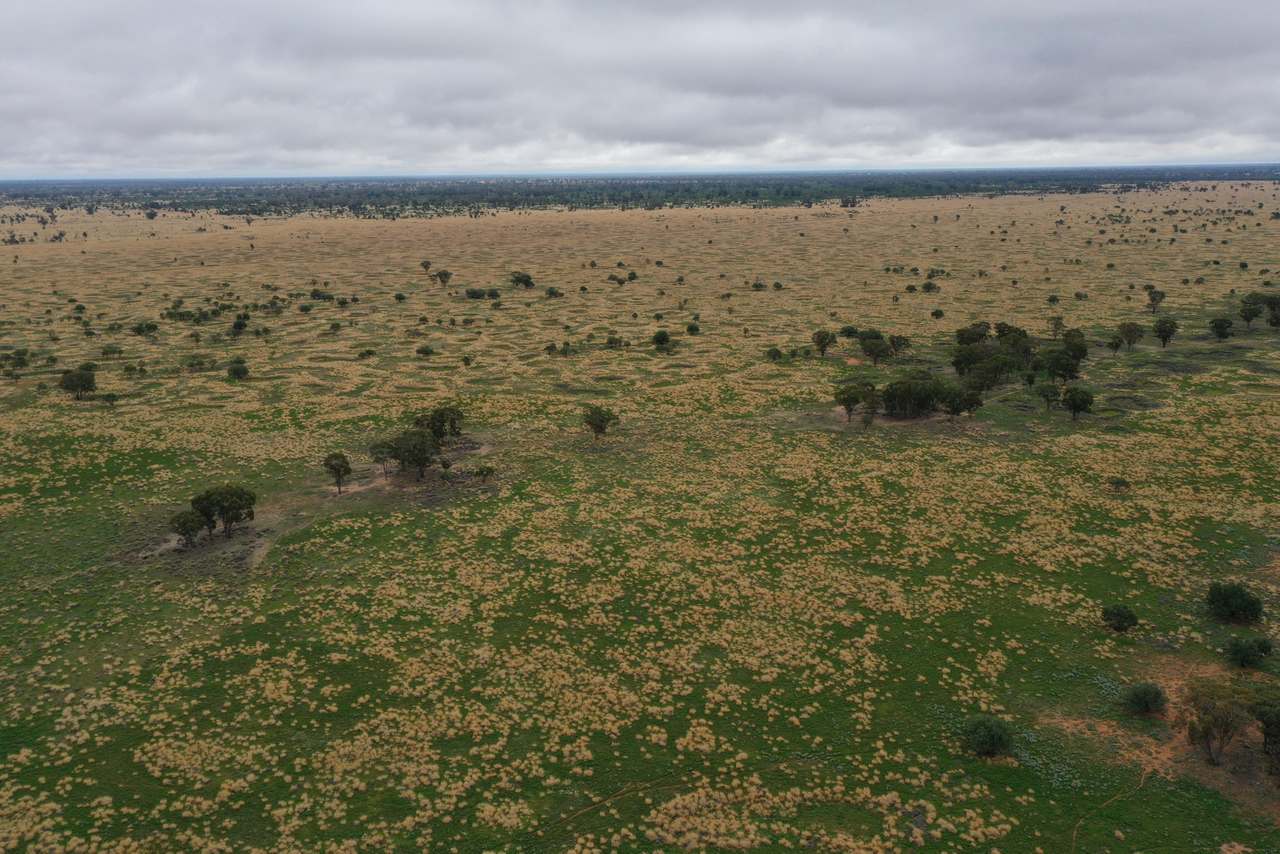 3495 Jakelwar Goodooga Road, Dirranbandi Expressions of Interest by Farmbuy.com - image 18