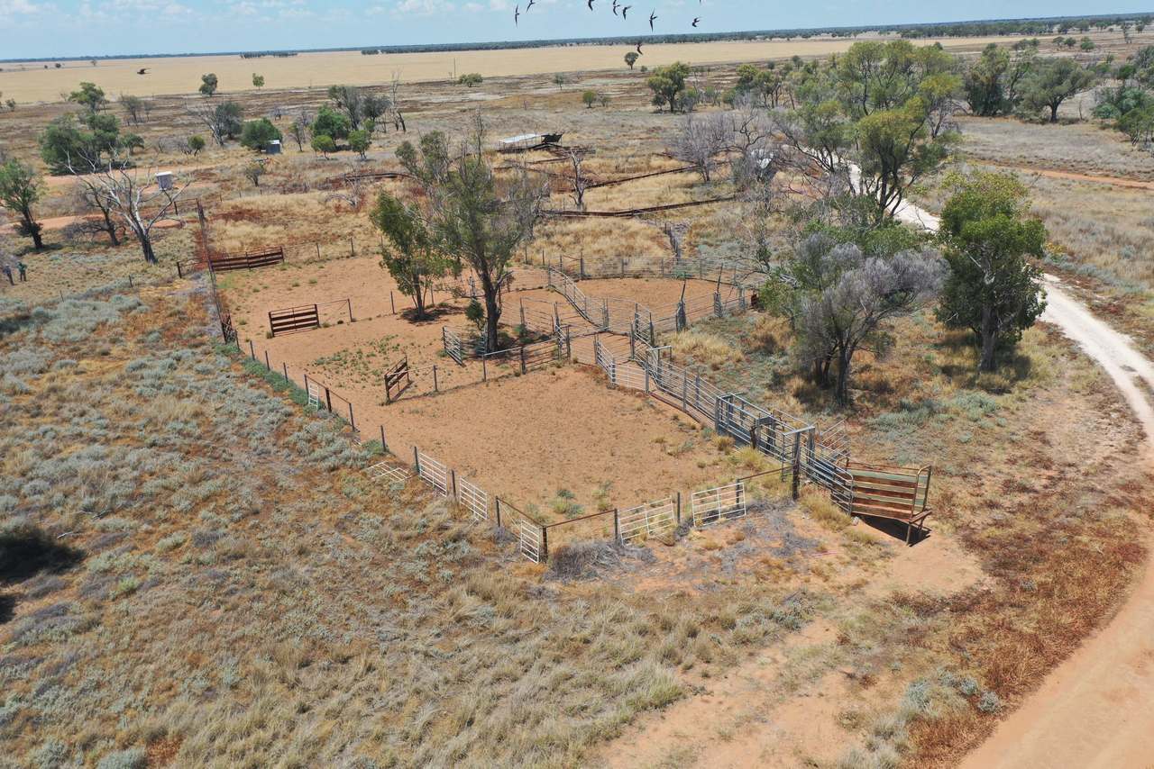 3495 Jakelwar Goodooga Road, Dirranbandi Expressions of Interest by Farmbuy.com - image 41