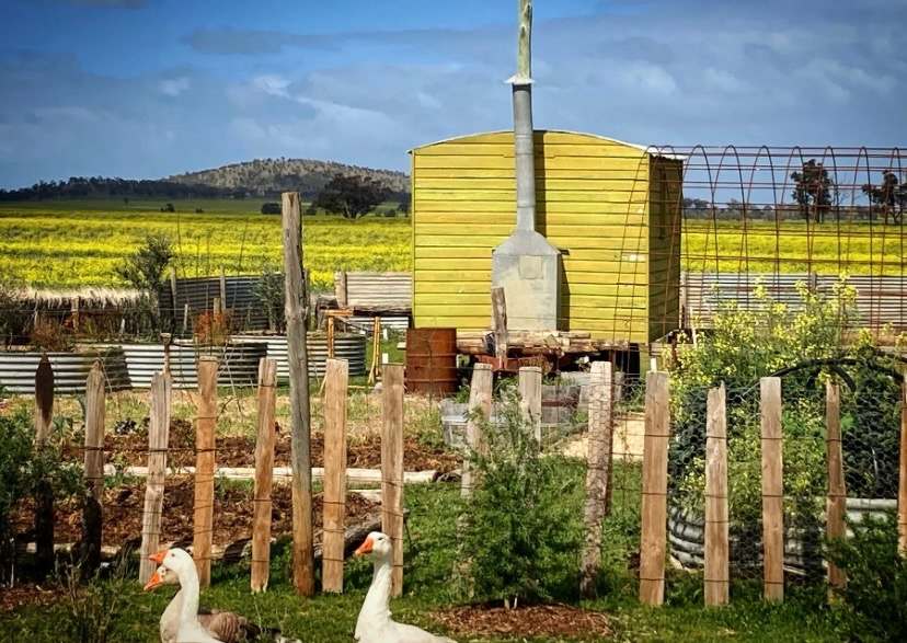 990 Banyeong Jeffcott Road, Jeffcott North For Sale by Farmbuy.com - image 2