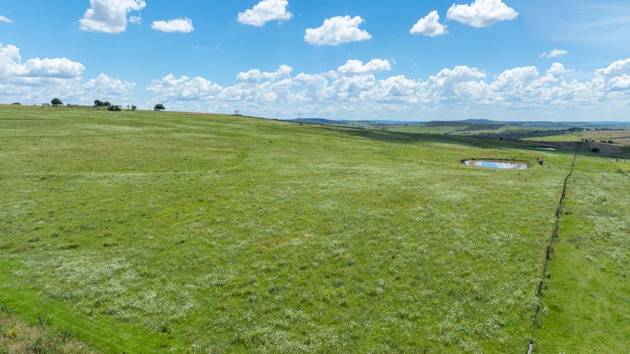 533 Upper Freestone Mount Sturt Rd, Freestone For Sale by Farmbuy.com - image 4