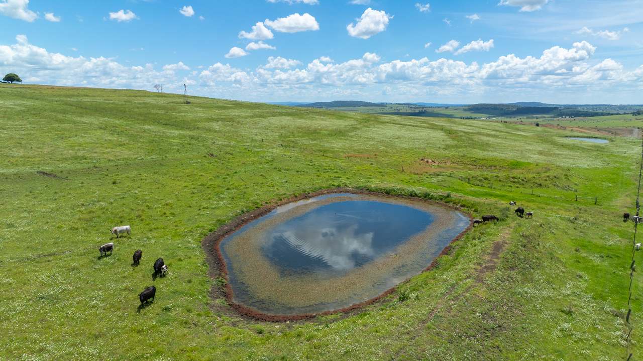 533 Upper Freestone Mount Sturt Rd, Freestone For Sale by Farmbuy.com - image 2