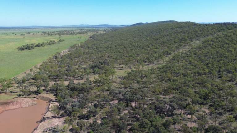 'Maralanna', CASTLE CREEK via Theodore For Sale by Farmbuy.com - image 5