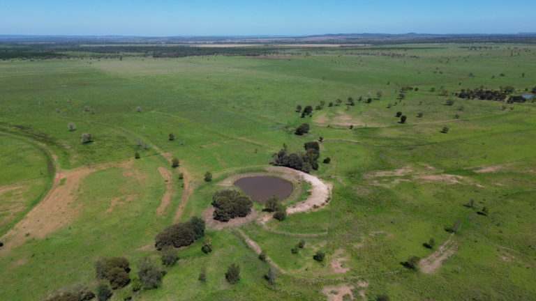 'Maralanna', CASTLE CREEK via Theodore For Sale by Farmbuy.com - image 12