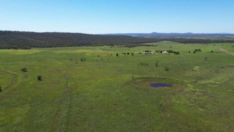 'Maralanna', CASTLE CREEK via Theodore For Sale by Farmbuy.com - image 23