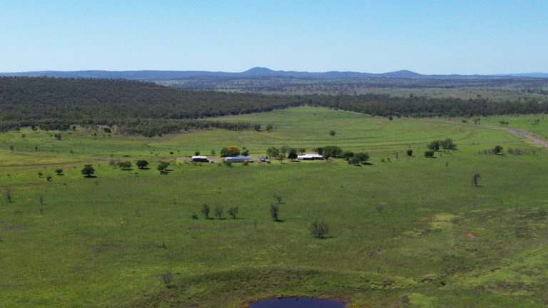 'Maralanna', CASTLE CREEK via Theodore For Sale by Farmbuy.com - image 24