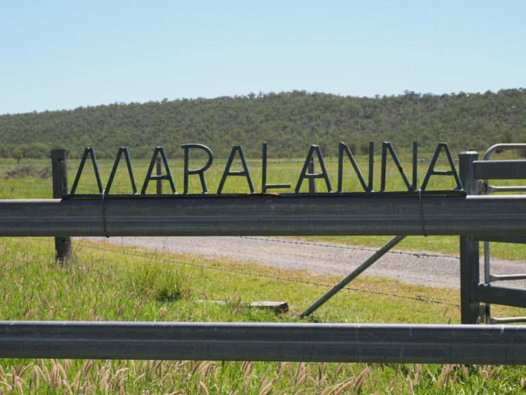 'Maralanna', CASTLE CREEK via Theodore For Sale by Farmbuy.com - image 77