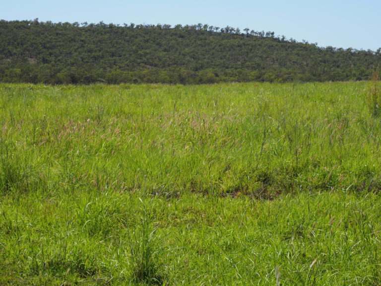 'Maralanna', CASTLE CREEK via Theodore For Sale by Farmbuy.com - image 79