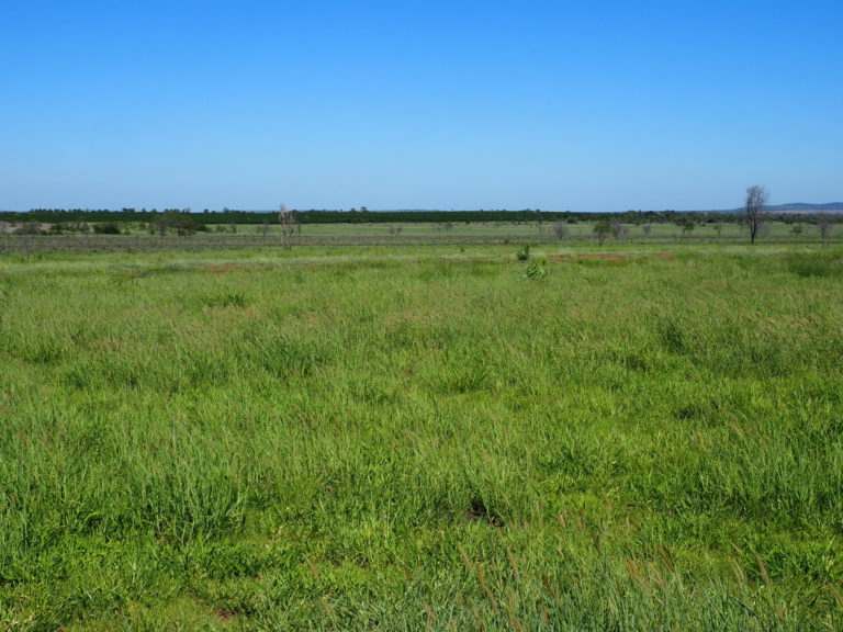 'Maralanna', CASTLE CREEK via Theodore For Sale by Farmbuy.com - image 34