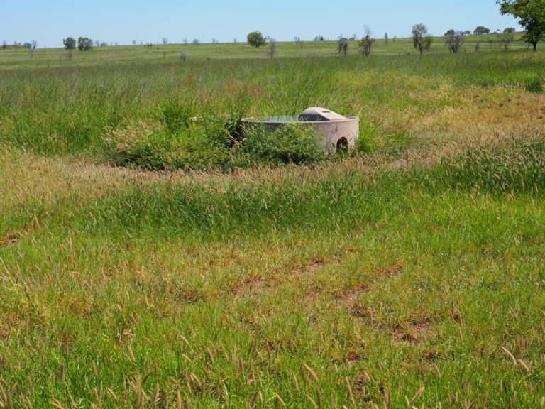 'Maralanna', CASTLE CREEK via Theodore For Sale by Farmbuy.com - image 71