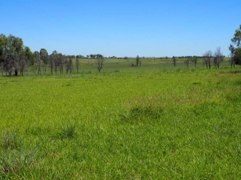 'Maralanna', CASTLE CREEK via Theodore For Sale by Farmbuy.com - image 74