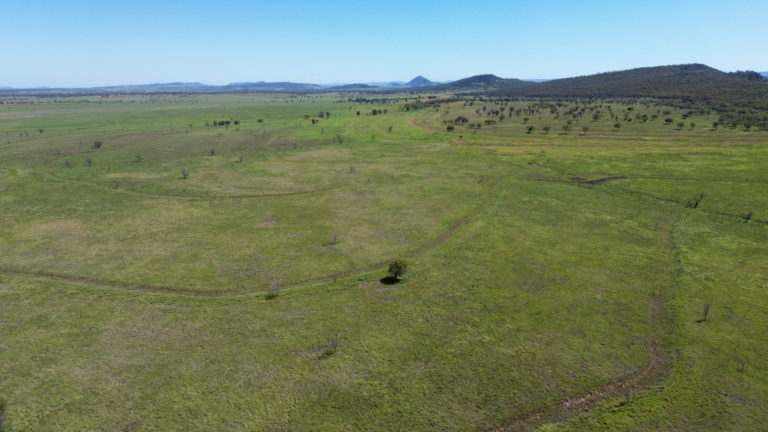'Maralanna', CASTLE CREEK via Theodore For Sale by Farmbuy.com - image 25