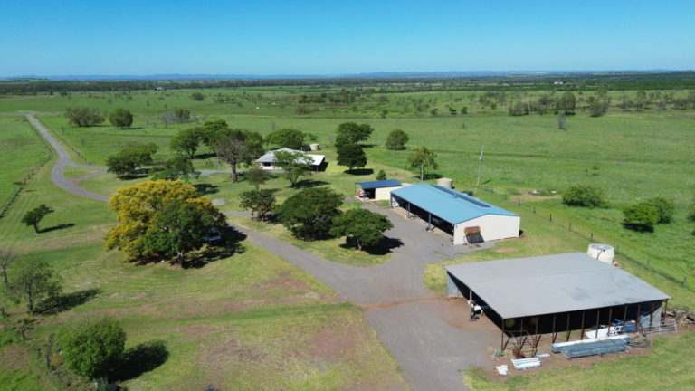 'Maralanna', CASTLE CREEK via Theodore For Sale by Farmbuy.com - image 7