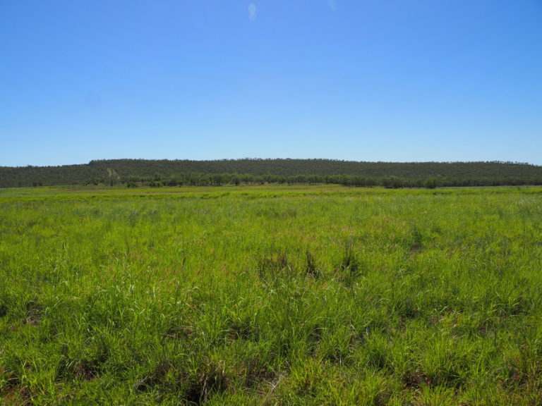 'Maralanna', CASTLE CREEK via Theodore For Sale by Farmbuy.com - image 75