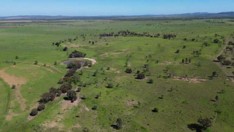 'Maralanna', CASTLE CREEK via Theodore For Sale by Farmbuy.com - image 11