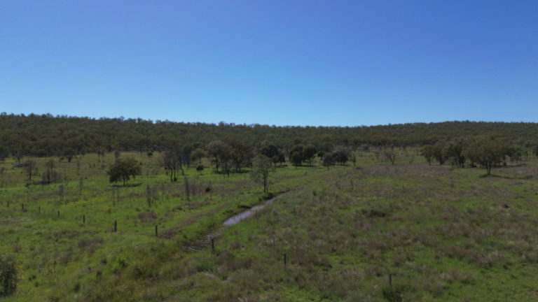 'Maralanna', CASTLE CREEK via Theodore For Sale by Farmbuy.com - image 10