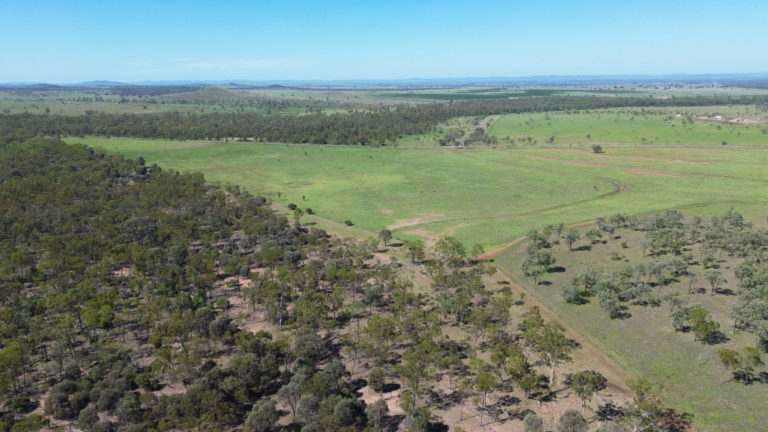 'Maralanna', CASTLE CREEK via Theodore For Sale by Farmbuy.com - image 6