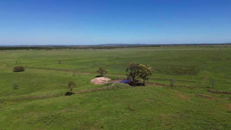 'Maralanna', CASTLE CREEK via Theodore For Sale by Farmbuy.com - image 19