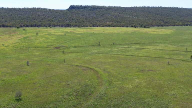 'Maralanna', CASTLE CREEK via Theodore For Sale by Farmbuy.com - image 22