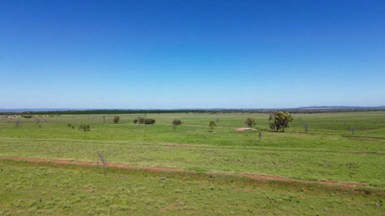 'Maralanna', CASTLE CREEK via Theodore For Sale by Farmbuy.com - image 18
