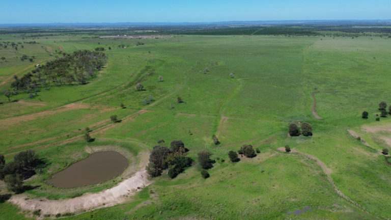 'Maralanna', CASTLE CREEK via Theodore For Sale by Farmbuy.com - image 14