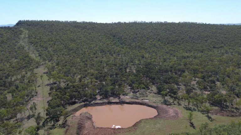 'Maralanna', CASTLE CREEK via Theodore For Sale by Farmbuy.com - image 3