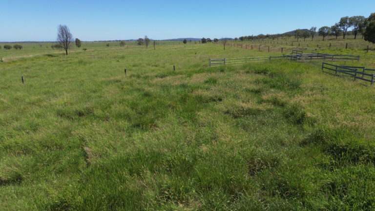 'Maralanna', CASTLE CREEK via Theodore For Sale by Farmbuy.com - image 27