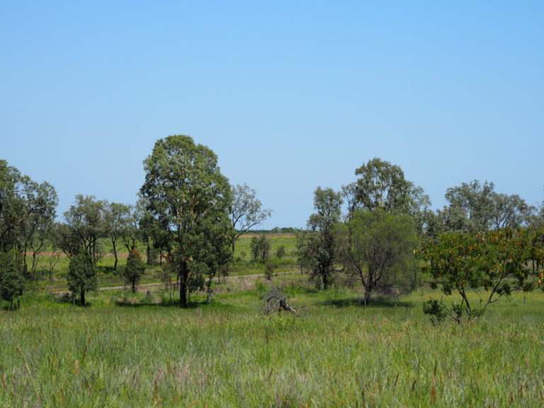 'Maralanna', CASTLE CREEK via Theodore For Sale by Farmbuy.com - image 73
