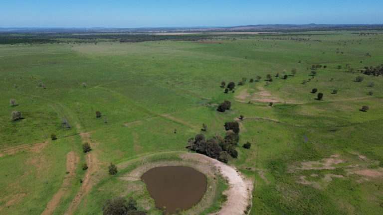 'Maralanna', CASTLE CREEK via Theodore For Sale by Farmbuy.com - image 13