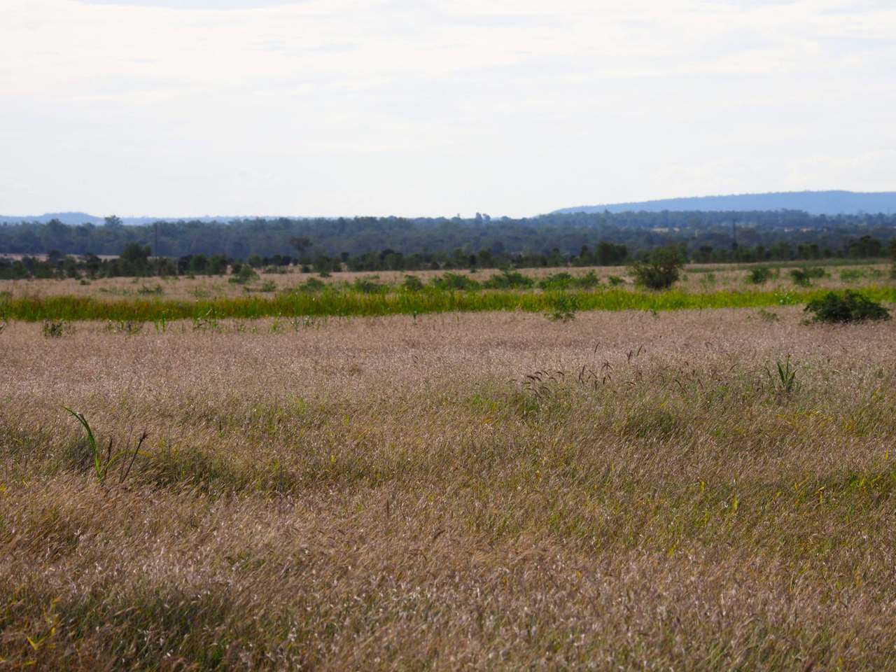'Corkwood', Baralaba For Sale by Farmbuy.com - image 30