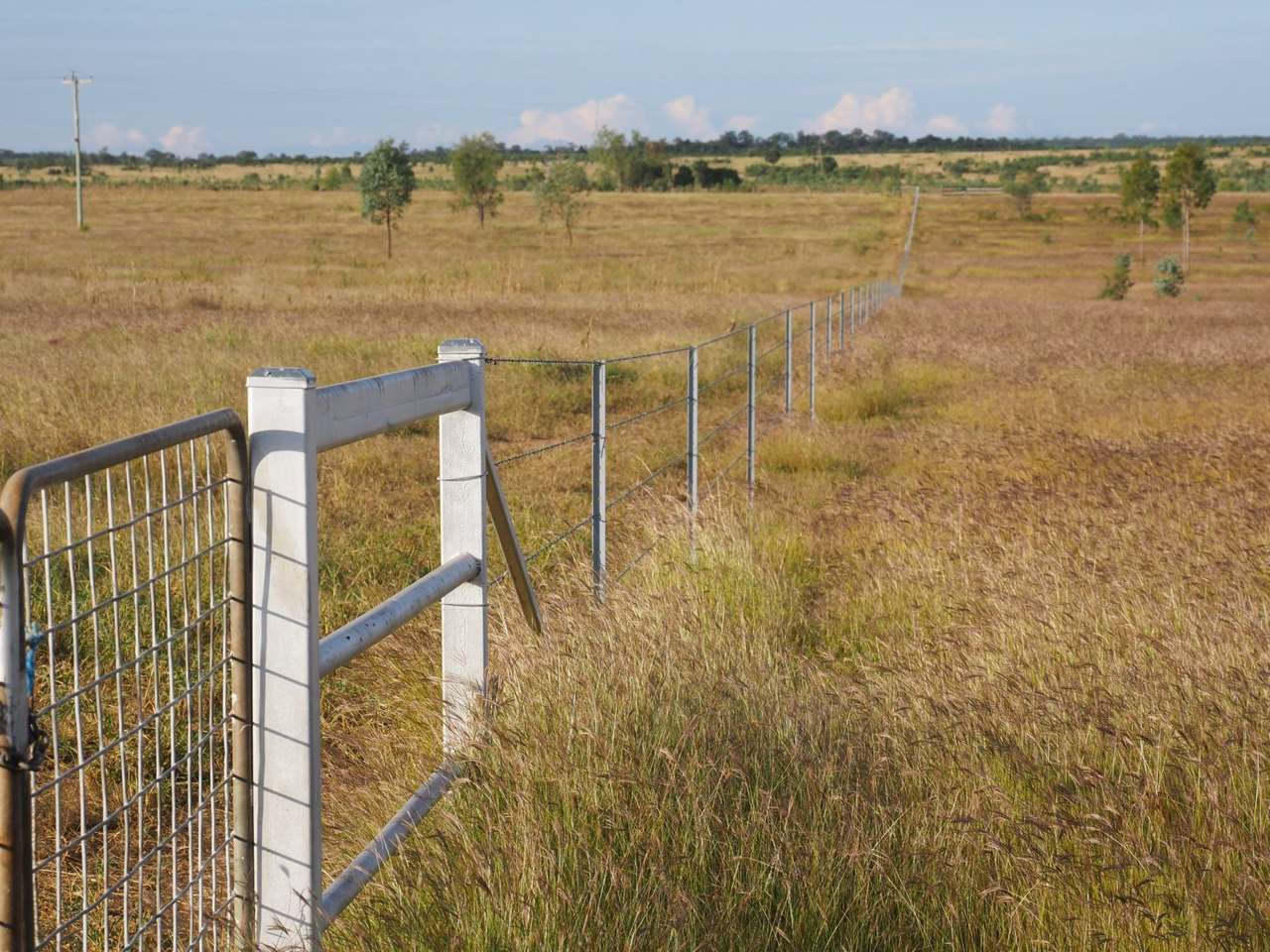 'Corkwood', Baralaba For Sale by Farmbuy.com - image 33