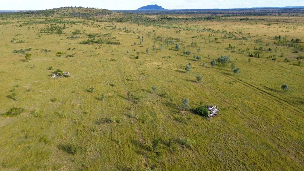 'Corkwood', Baralaba For Sale by Farmbuy.com - image 11