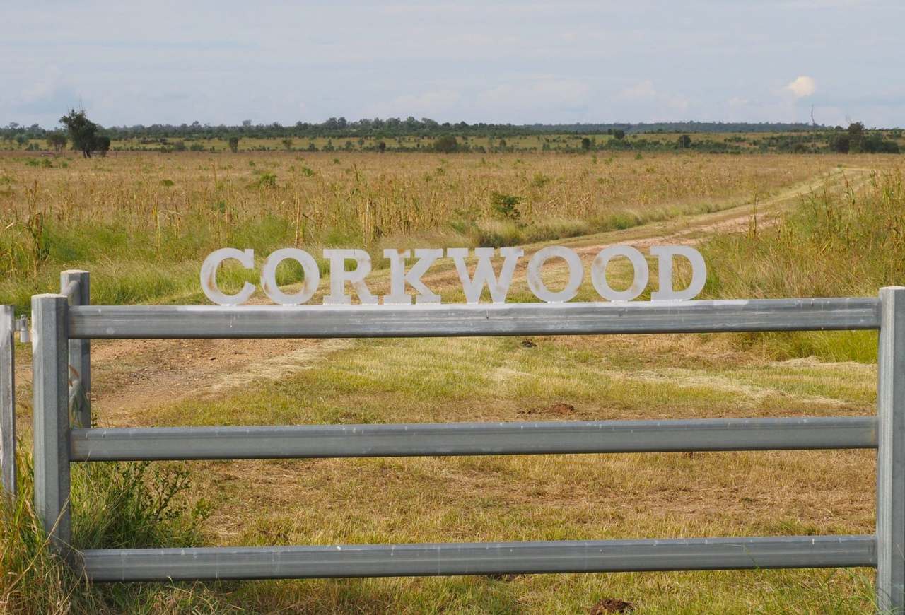 'Corkwood', Baralaba For Sale by Farmbuy.com - image 26