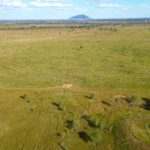 'Corkwood', Baralaba For Sale by Farmbuy.com - image 5