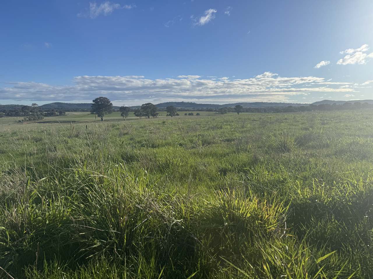 4114 Ararat-St Arnaud Road, Paradise For Sale by Farmbuy.com - image 3