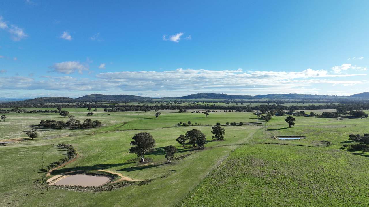 4114 Ararat-St Arnaud Road, Paradise For Sale by Farmbuy.com - image 7