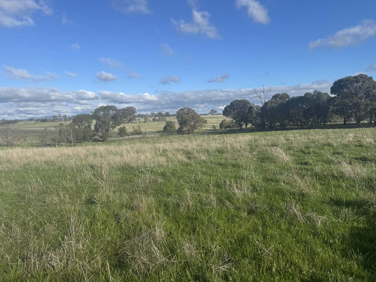 4114 Ararat-St Arnaud Road, Paradise For Sale by Farmbuy.com - image 4