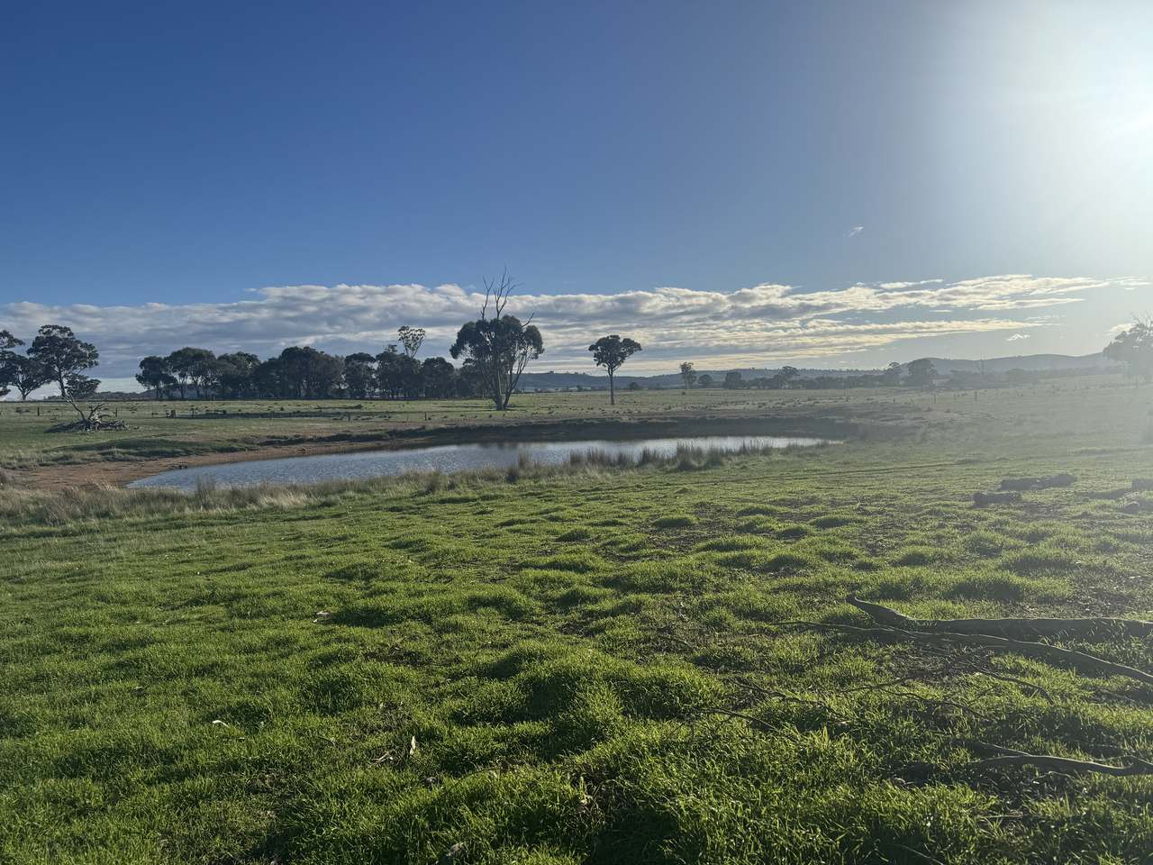 4114 Ararat-St Arnaud Road, Paradise For Sale by Farmbuy.com - image 5